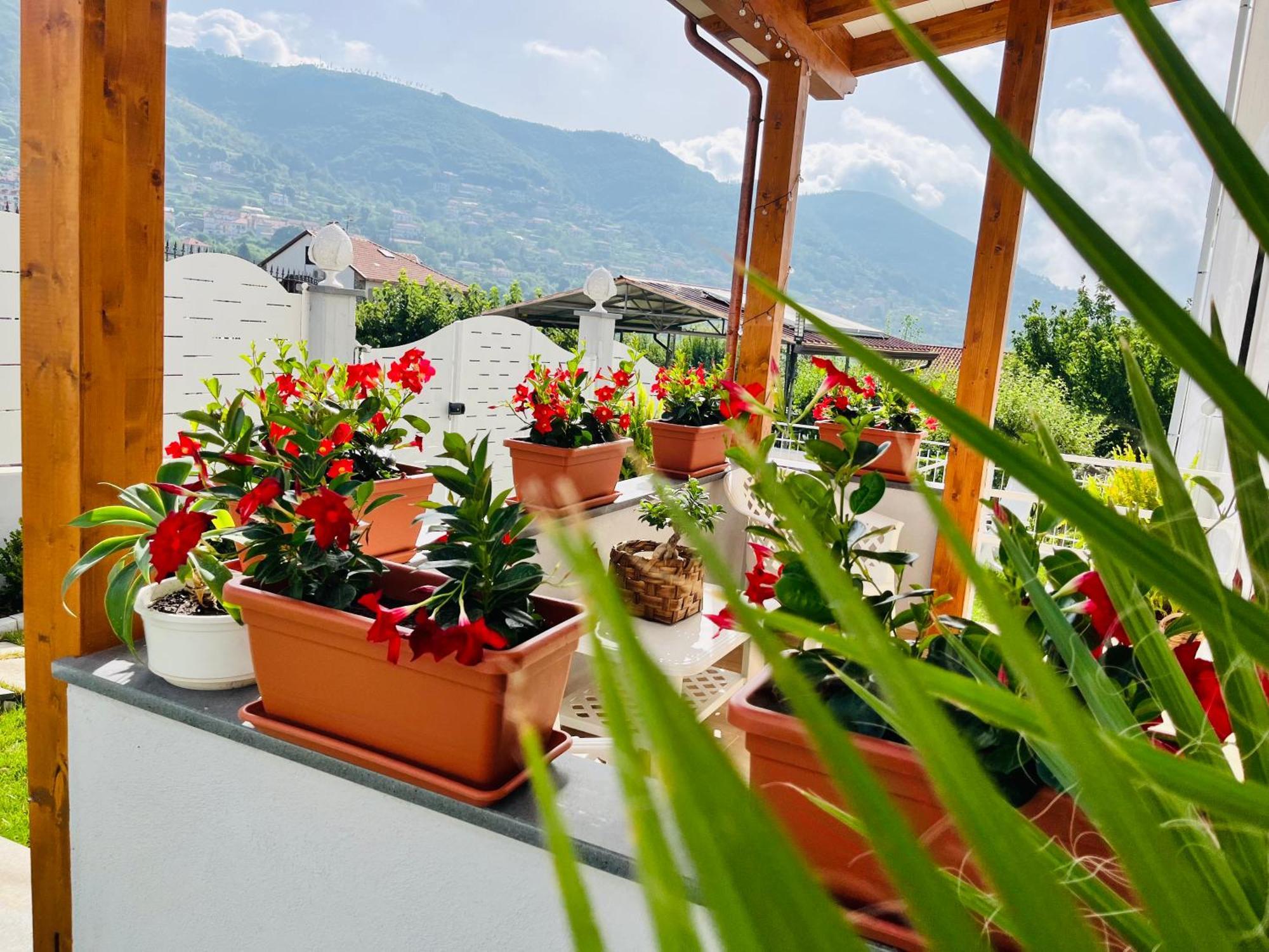 Agerola Dreams Apartment Екстериор снимка
