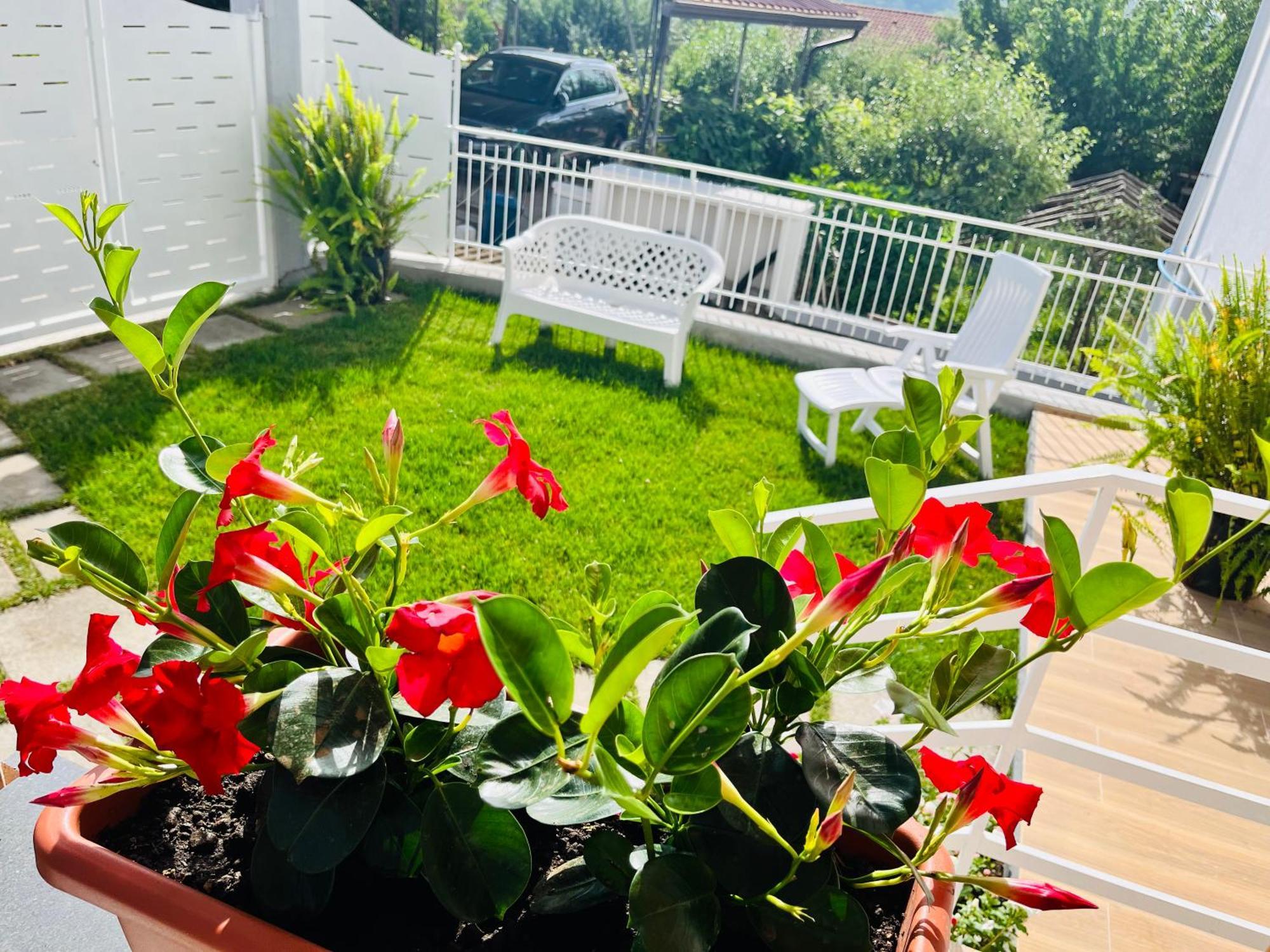 Agerola Dreams Apartment Екстериор снимка